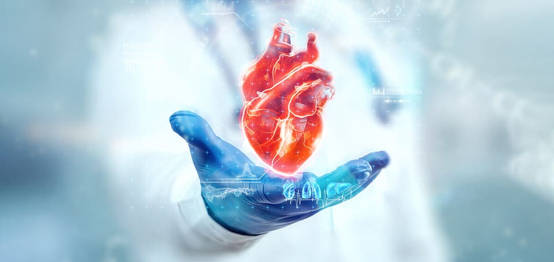 Protocol: Valeo’s Guide for Lipid Regulation